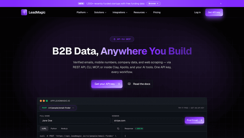 LeadMagic homepage